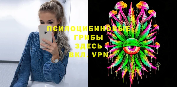 не бодяженный Алексин