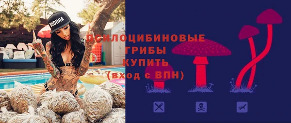 а пвп мука Алзамай