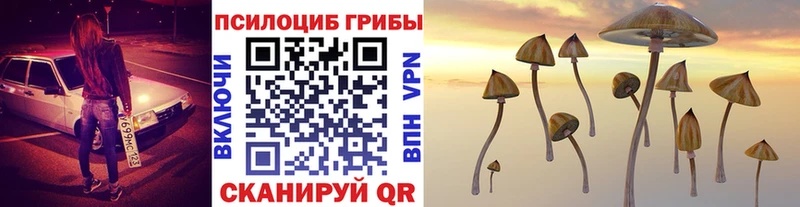 Псилоцибиновые грибы Magic Shrooms  Ядрин 