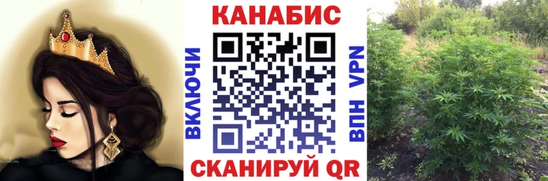 Канабис индика купить закладку Ядрин